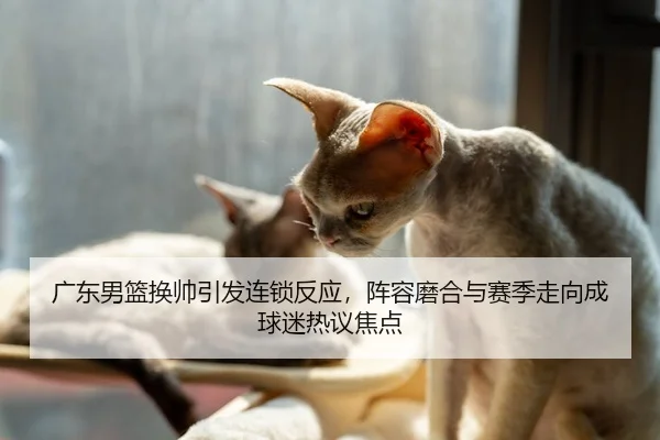 广东男篮换帅引发连锁反应，阵容磨合与赛季走向成球迷热议焦点